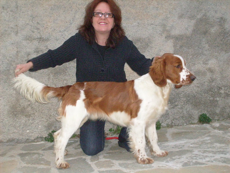Empirio d'Ann Cambris